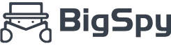 bigspy.com
